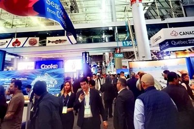 Dalian Haibao Foods Co ., Ltd . nahm an der Seafood Expo North America 2025 teil
